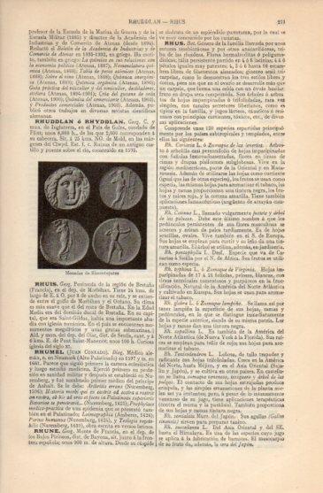 LAMINA V26516: Monedas de Rhoontopates