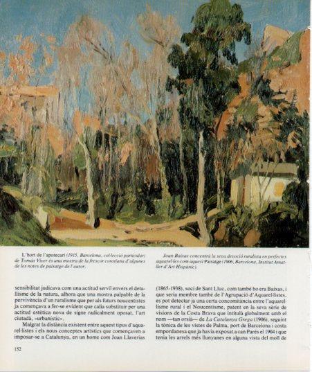 LAMINA V27162: L'hort de l'apotecari per Tomas Viver