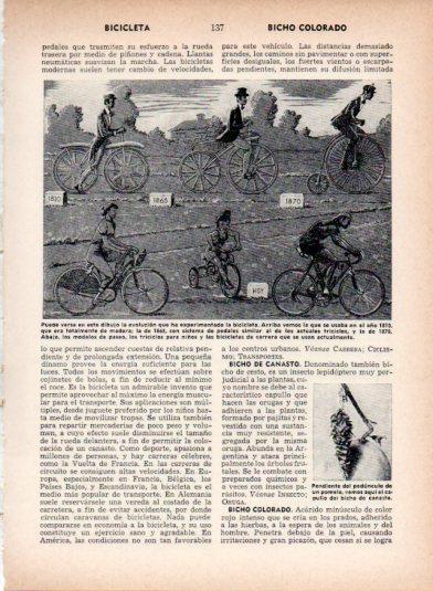 LAMINA V26938: Evolucion de la bicicleta desde 1810 hasta 1964