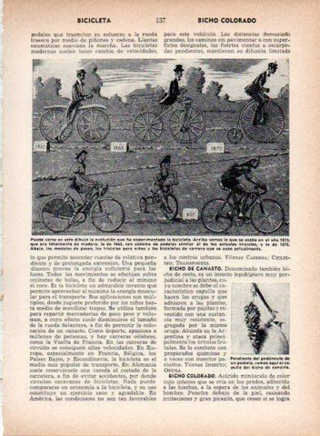 LAMINA V26938: Evolucion de la bicicleta desde 1810 hasta 1964