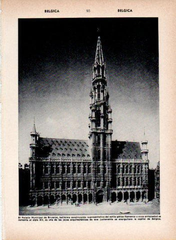 LAMINA V26916: Palacio Municipal de Bruselas