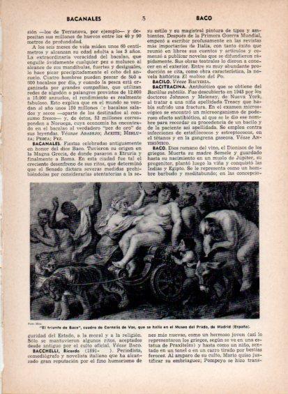 LAMINA V26869: El triunfo de Baco por Cornelis de Vos