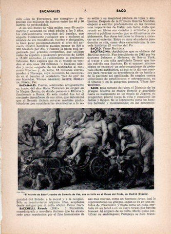 LAMINA V26869: El triunfo de Baco por Cornelis de Vos