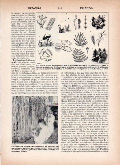 LAMINA V26979: Botanicos del departamento experimental de Otawa