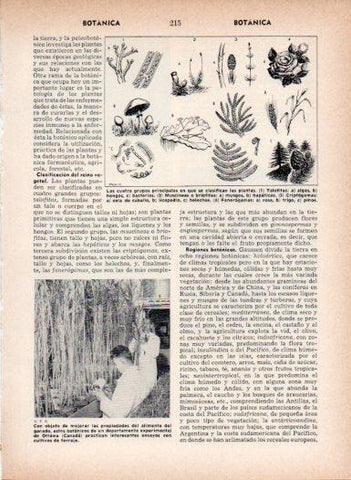 LAMINA V26979: Botanicos del departamento experimental de Otawa