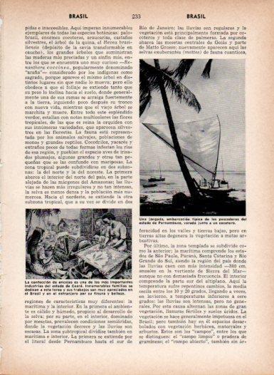 LAMINA V26988: Jangada embarcacion de Pernambuco