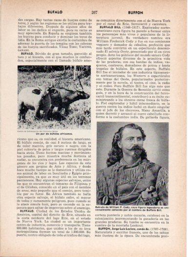 LAMINA V27006: Retrato de Buffalo Bill