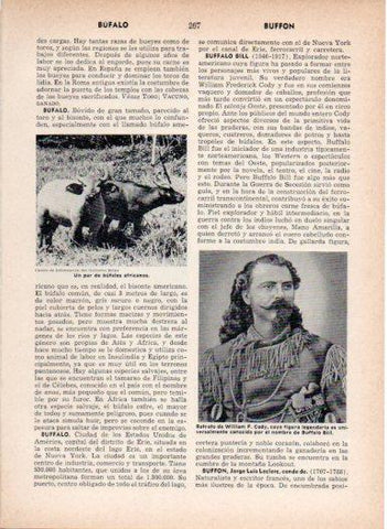 LAMINA V27006: Retrato de Buffalo Bill