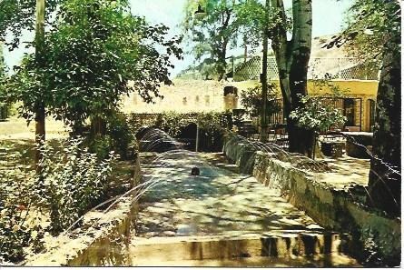 POSTAL A1515: Parque Fuente del Rio en Cabra, Cordoba