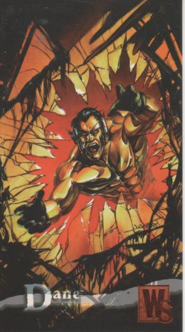 Cromo E004397: Trading Card. Wildstorm Gallery, nº 15 Dane