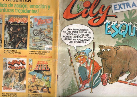 Lily extra numero 73: Esqui: poster central de Candy Candy (numerado 4 en trasera)