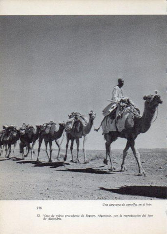 LAMINA V28271: Caravana de camellos en Iran
