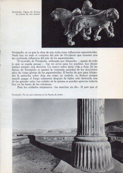 LAMINA V28270: Columna de la Puerta de Jerjes