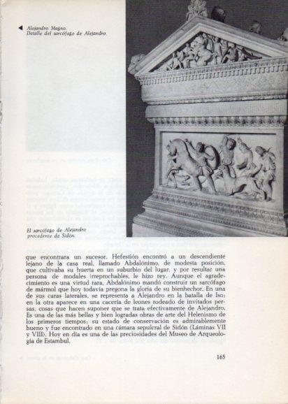 LAMINA V28251: Sarcofago de Alejandro, Sidon