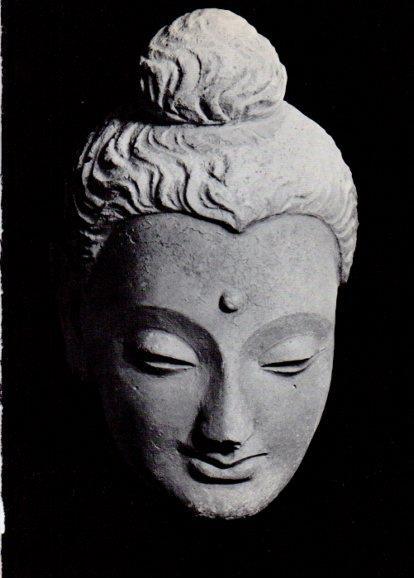 LAMINA V28292: Cabeza de Buda de Hadda siglo III-IV
