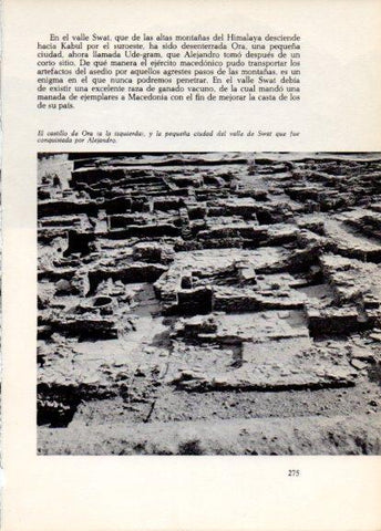 LAMINA V28295: Pequeña ciudad del valle de Swat