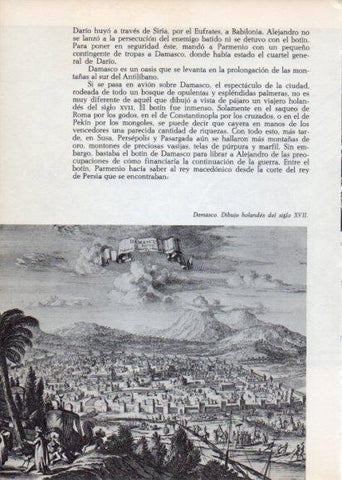 LAMINA V28249: Damasco dibujo holandes siglo XVII
