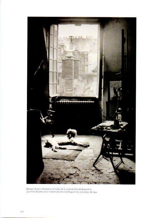 LAMINA V27975: El perro Kazbek en el taller de la calle de Grands-Augustins por Brassai