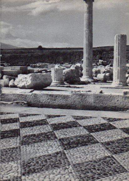 LAMINA V28196: Mosaico del palacio real de Pella