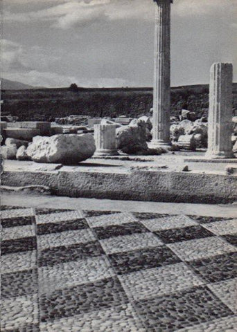 LAMINA V28196: Mosaico del palacio real de Pella