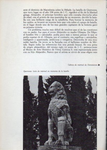 LAMINA V28201: Leon de Queronea