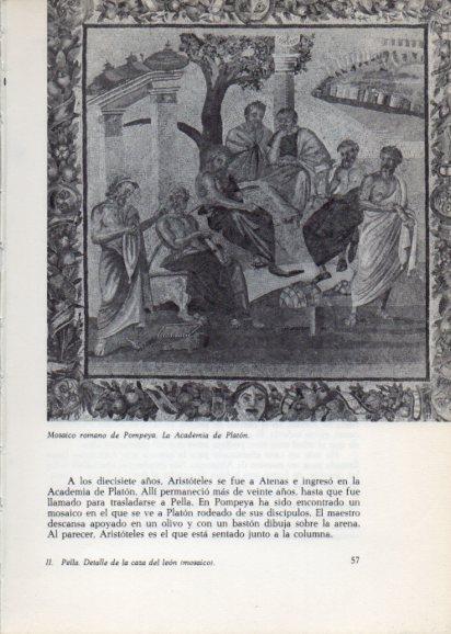 LAMINA V28208: La Academia de Platon, mosaico de Pompeya