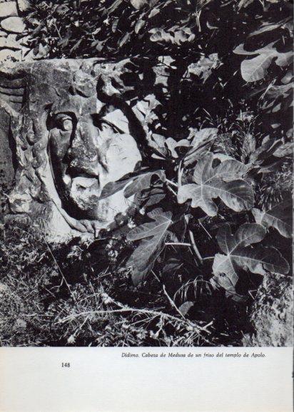 LAMINA V28243: Cabeza de Medusa del templo de Apolo, Didimo