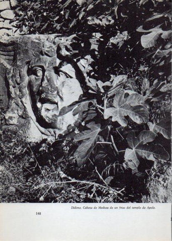 LAMINA V28243: Cabeza de Medusa del templo de Apolo, Didimo