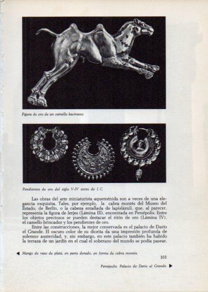 LAMINA V28228: Figura de un camello bactriano
