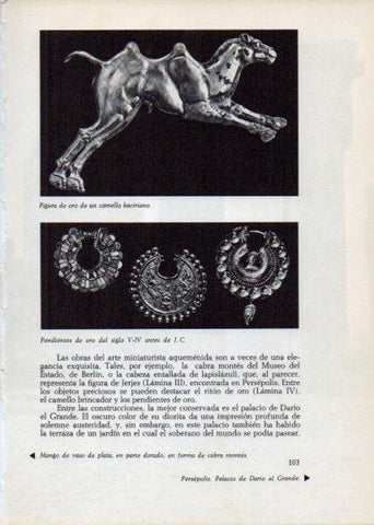 LAMINA V28228: Figura de un camello bactriano