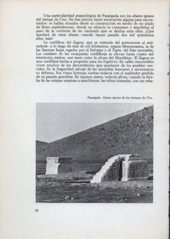 LAMINA V28218: Altares igneos, Pasargada
