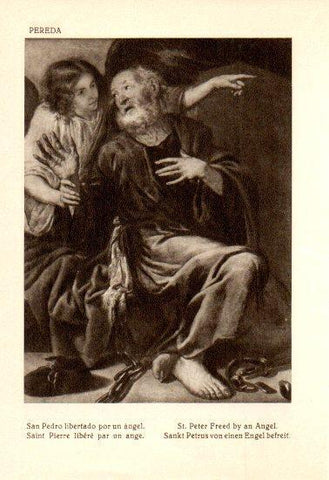 LAMINA V28149: San Pedro libertado por un angel por Pereda