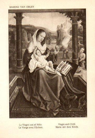 LAMINA V28129: La Virgen con el Niño por Barend van Orley