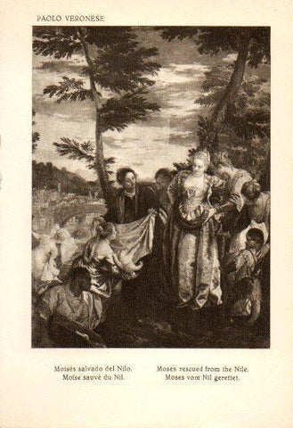 LAMINA V28138: Moises salvado del Nilo por Paolo Veronese