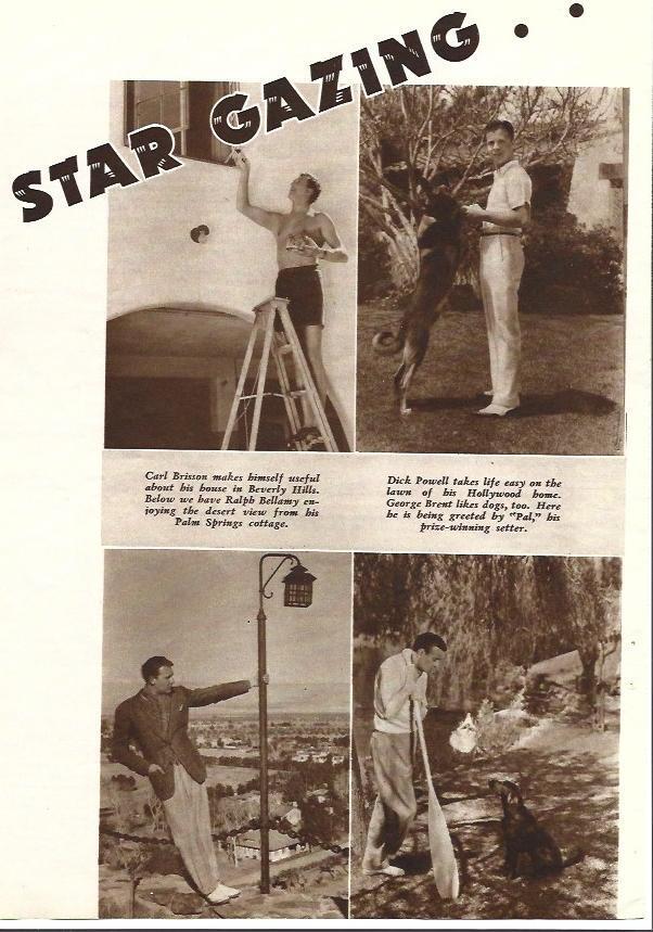 LAMINA 34401: Stargazing