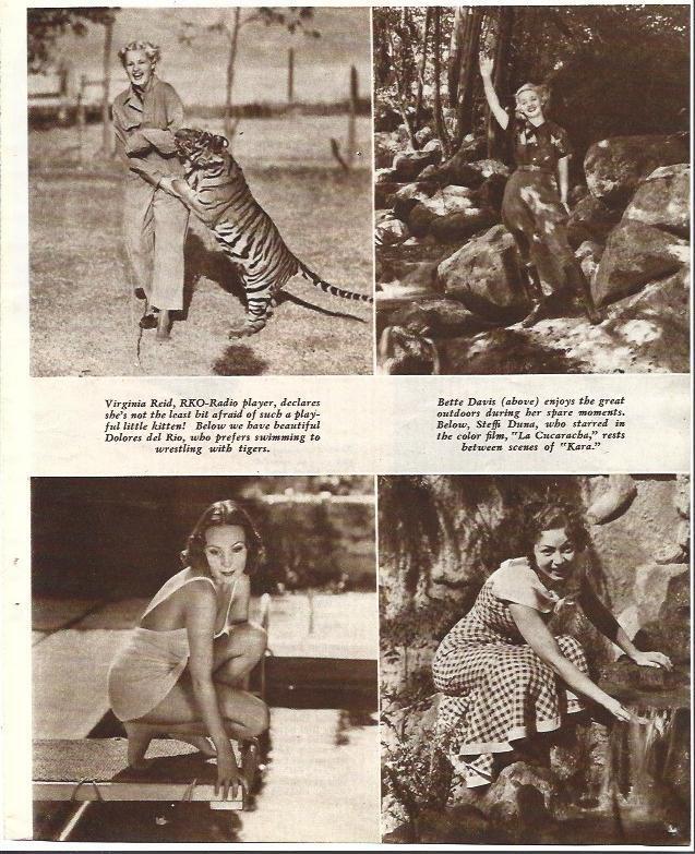 LAMINA 34402: Virginia Reid y Bette Davis