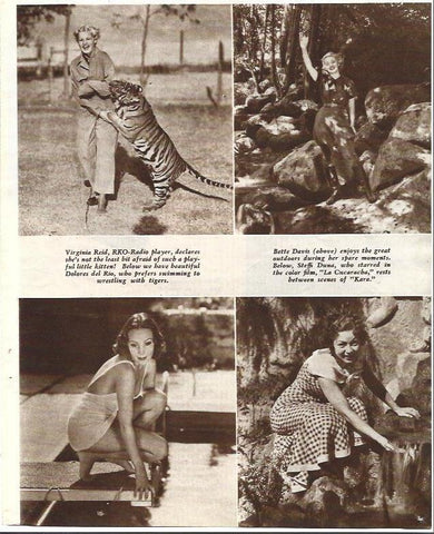 LAMINA 34402: Virginia Reid y Bette Davis