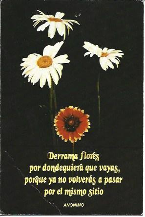 POSTAL A1573: Serie Pensamiento 23. Derrama
