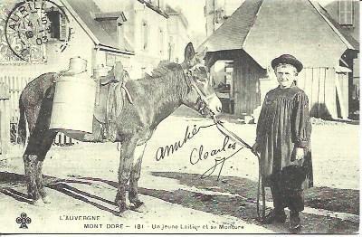 POSTAL A1613: Mont Dore