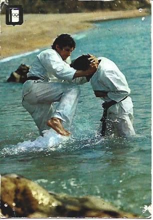 POSTAL A2114: Serie Karate, Hitsui Geri