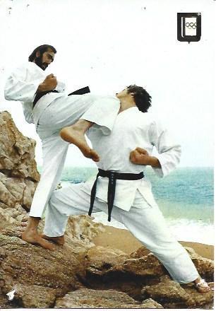 POSTAL A2116: Serie Karate, Hitsui