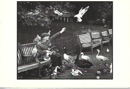 POSTAL A2128: Lunchtime