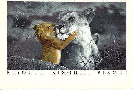 POSTAL A2147: Bisou
