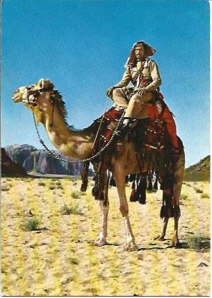 POSTAL A2135: Camello en Jordania