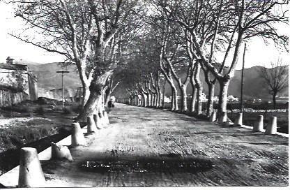 POSTAL A1885: Paseo de Arboles