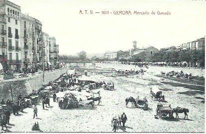 POSTAL A1816: Mercado del Ganado de Girona