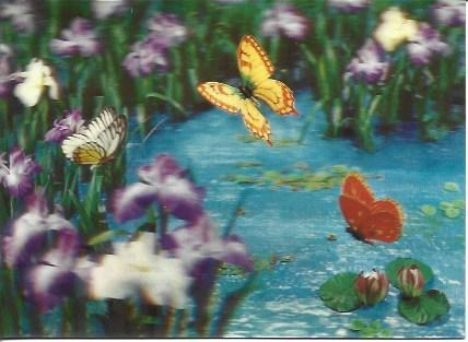 POSTAL A2045: Mariposas