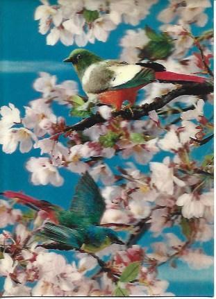 POSTAL A2044: Pajaros