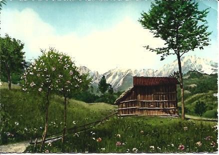 POSTAL A2033: Cabaña en el bosque