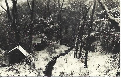 POSTAL A2027: Bosque nevado
